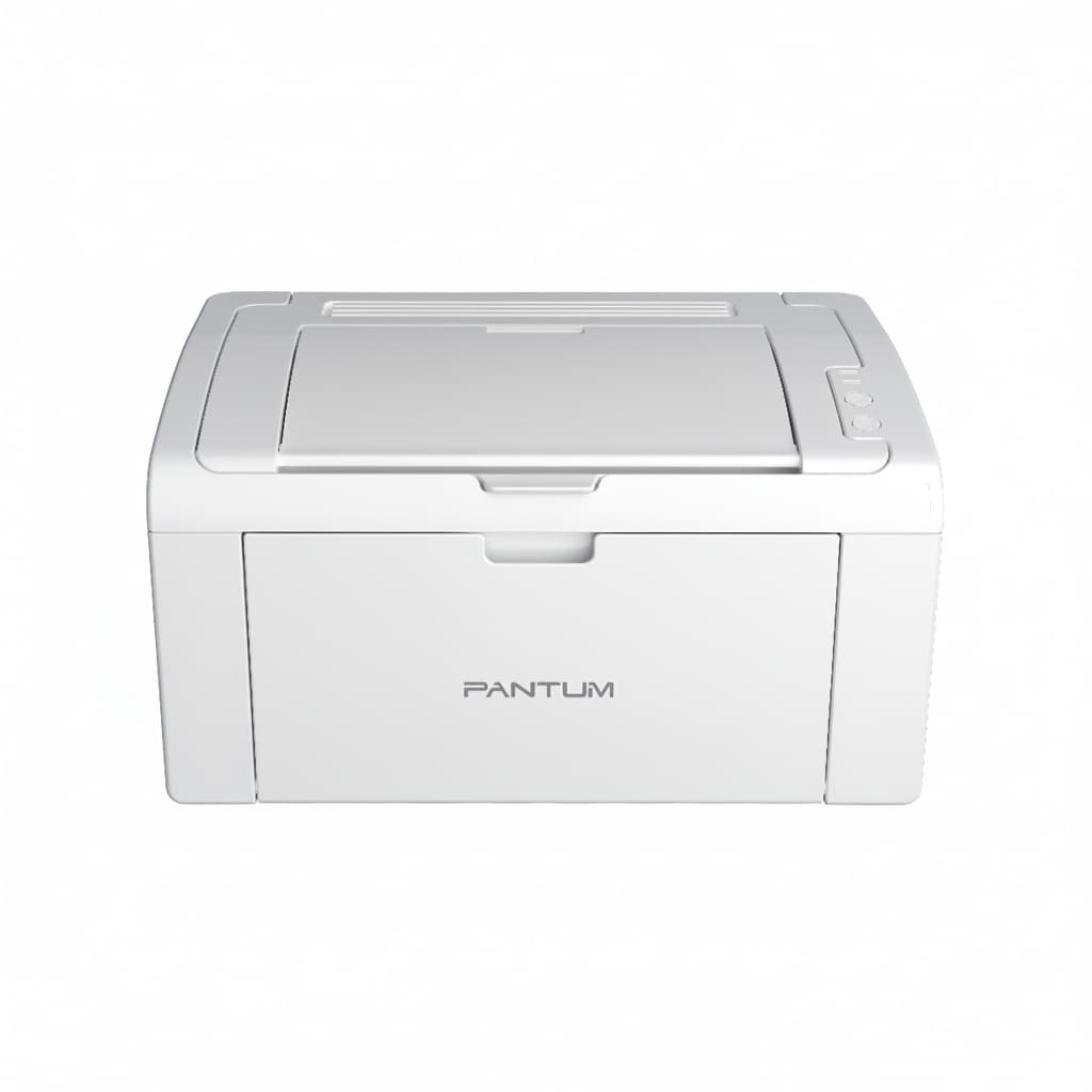 Pantum P2509 Laser A4 Noir et Blanc 22PPM 1